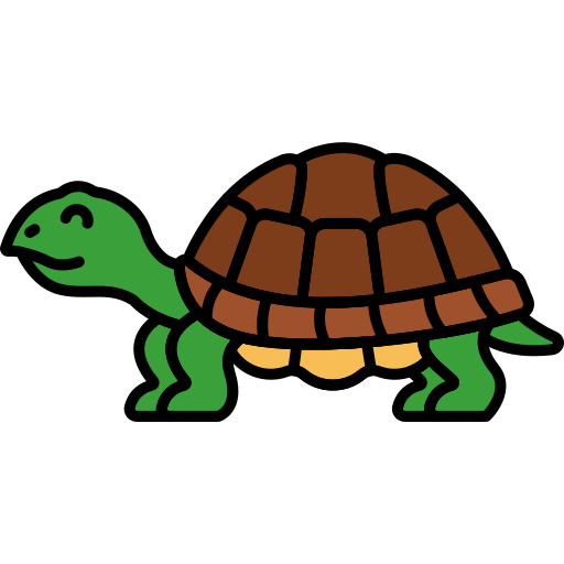 Turtles