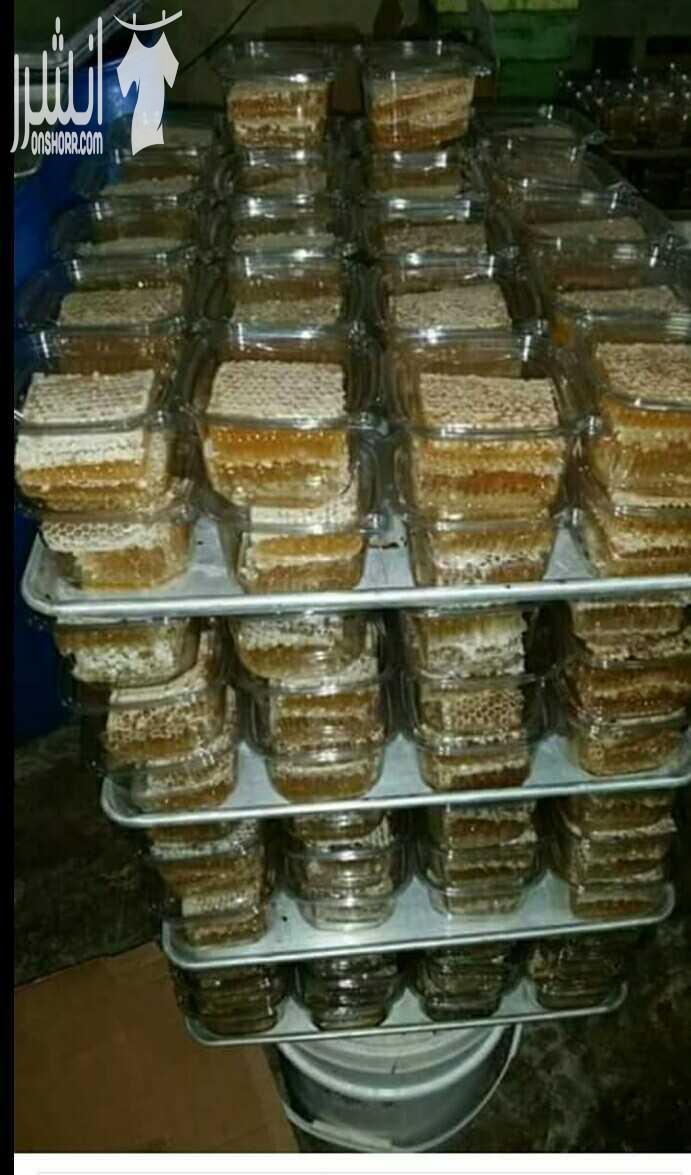عسل الشهد   خلية نحل كامله عسل طبيعي ومكفول  إنتاج مناحل العمايره قرى الشمال في اربد يتوفر عسل شهد وبكميات  خصم خاص للجمله مع إمكانية التوصيل داخل اربد وعمان