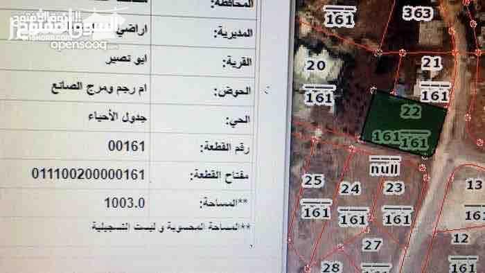 دونم أرض مسيجة للبيع بنفس سعر التكلفة...  واجهة عريضة على شارعين...  الموقع: تقع بالقرب من دوار قرية أبو نصير باتجاه ديوان الوريكات العدوان...  واصلة جميع الخدمات من كهرباء ومياه وصرف صحي...  <<...