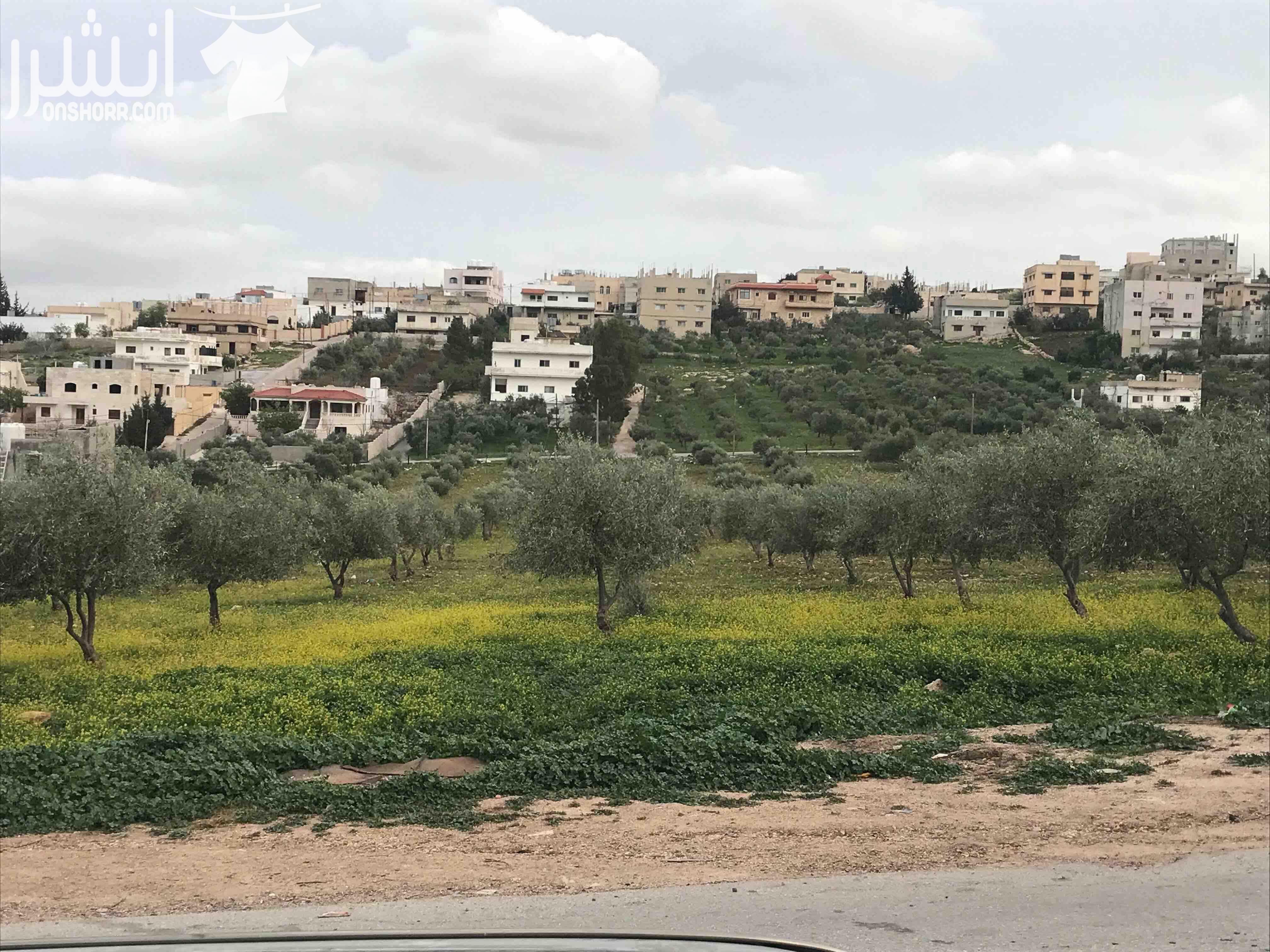 ارض للبيع في محافظة اربد في منطقة نعيمة صالحة للبناء او استخدام زراعي محصولها الزراعي ممتاز مخدومة (واصلها كهرباء و مياه و صرف صحي) يمكن شراء مساحة مجزئة و يمكن التفاوض بالاسعار المساحة الكاملة للارض...