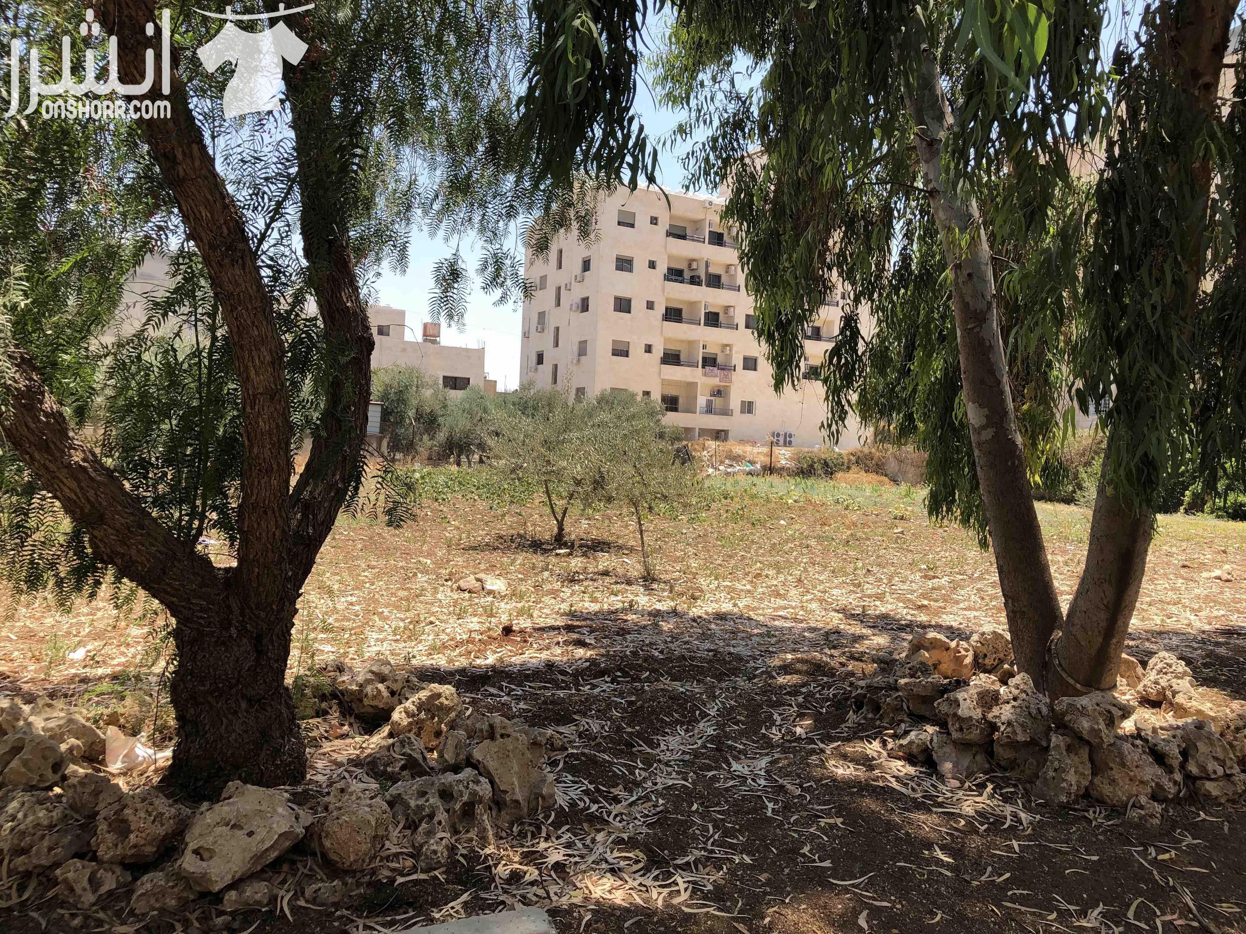 المساحة: ١ دونم الموقع: مجمع عمان الجديد خلف مطعم الشاورمجي قرب سكن بيسان ملاحظة: الارض قائمة على شارع مغلق  المالك: غالب المومني ابو احمد