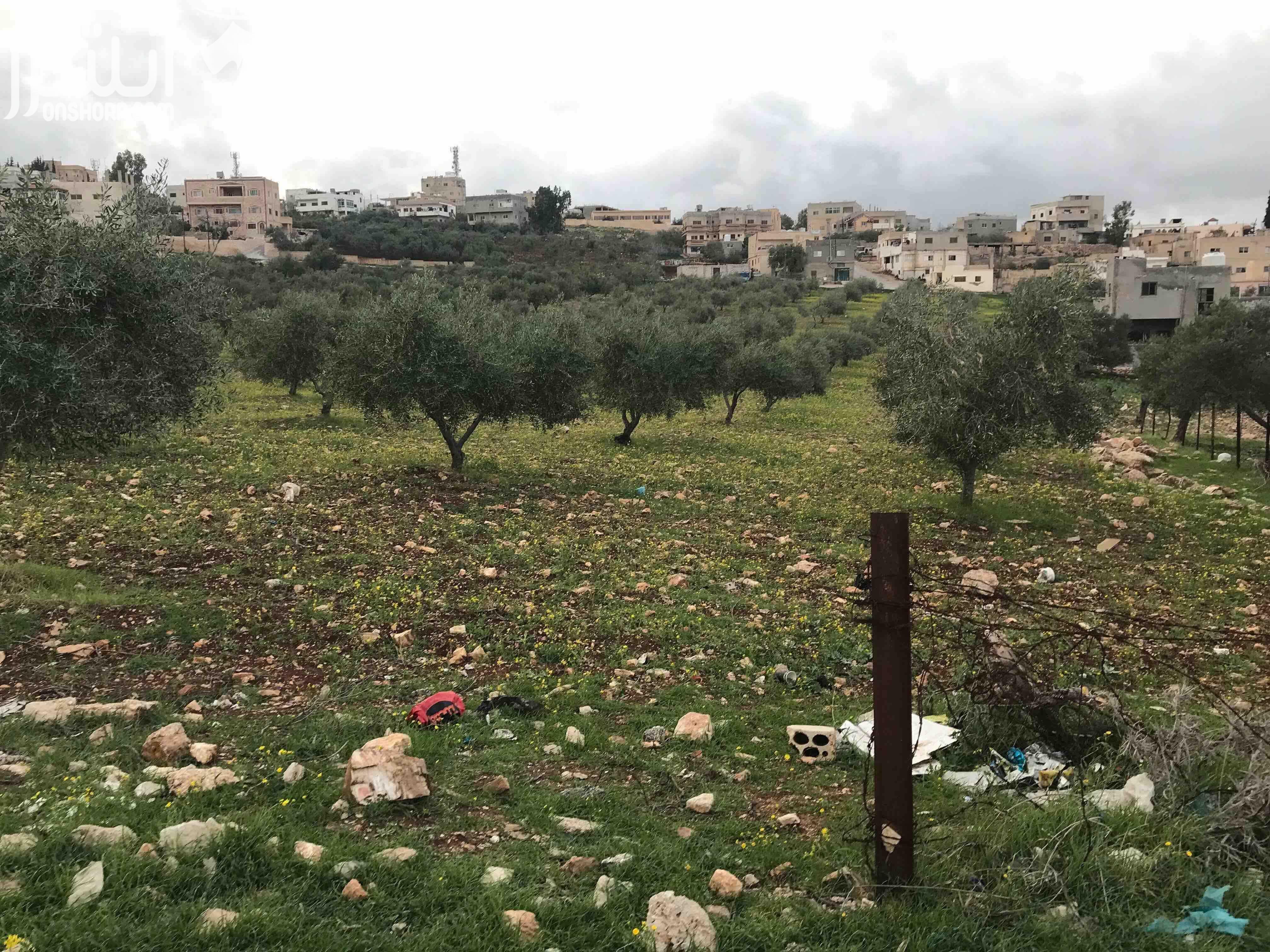 ارض للبيع في محافظة اربد في منطقة نعيمة صالحة للبناء او استخدام زراعي محصولها الزراعي ممتاز مخدومة (واصلها كهرباء و مياه و صرف صحي) يمكن شراء مساحة مجزئة  و يمكن التفاوض بالاسعار المساحة الكاملة للارض...