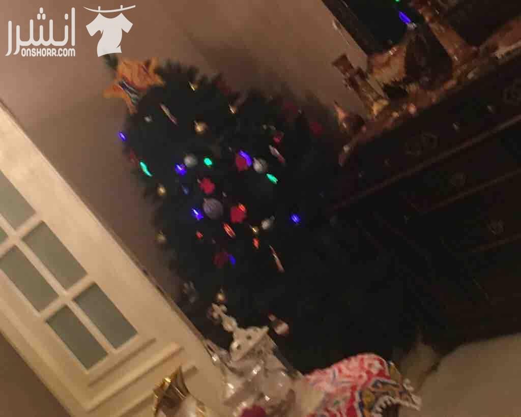 شجرة عيد الميلاد قابلة للفك والتركيب