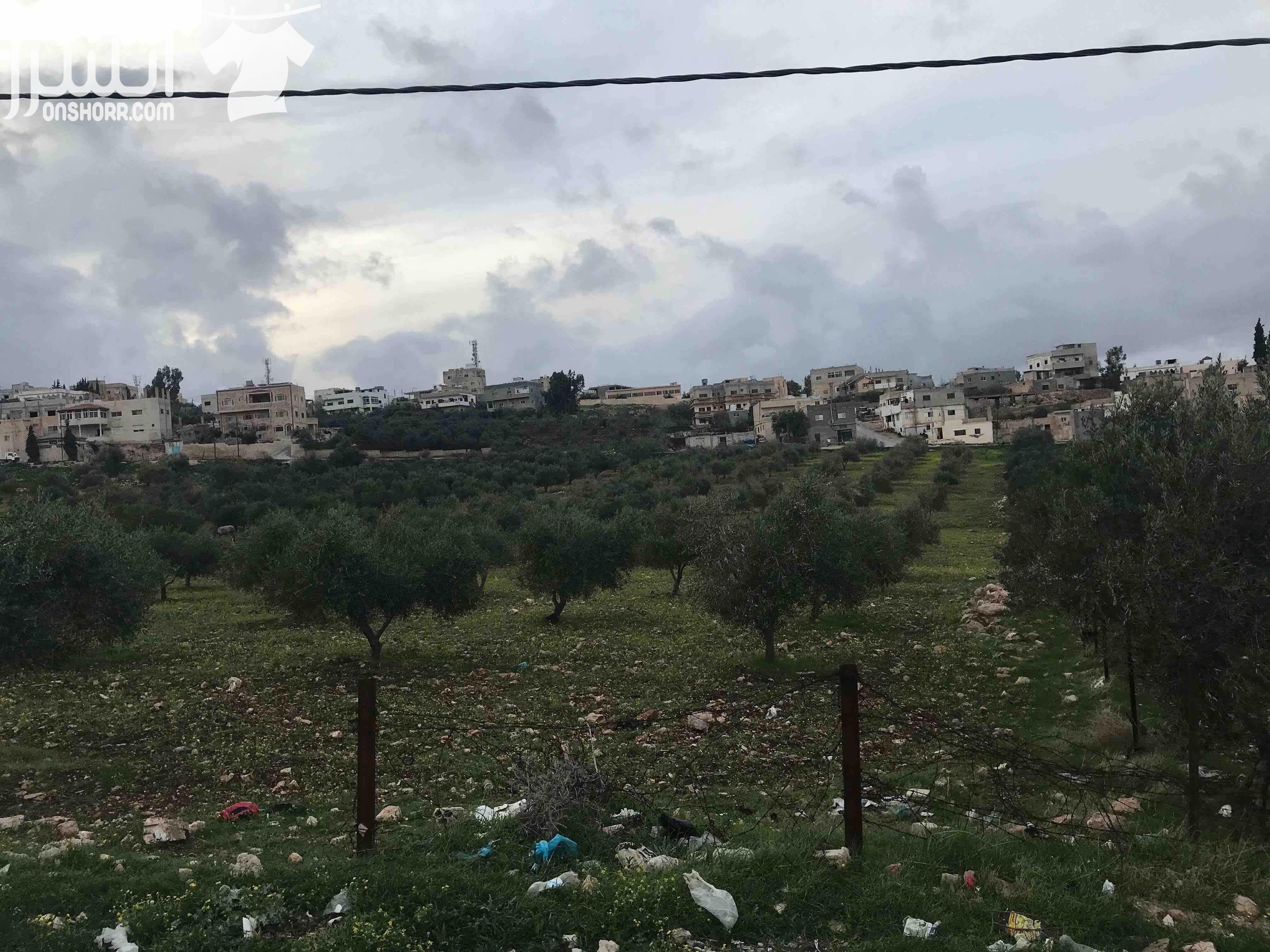 ارض للبيع في محافظة اربد في منطقة نعيمة صالحة للبناء او استخدام زراعي محصولها الزراعي ممتاز مخدومة (واصلها كهرباء و مياه و صرف صحي) يمكن شراء مساحة مجزئة و يمكن التفاوض بالاسعار المساحة الكاملة للارض...