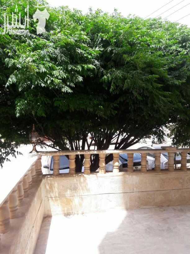 شقة ارضية مع ترس للبيع  .. مقابل العيادات الخارجية لمستشفى حمزة منطقة هادئة جدا .. مساحتها الداخلية 135 م .. ثلاث غرف نوم ..ثلاث حمامات ..ومطبخ راكب جديد وحمامات تم عمل صيانة لها وتغييرها .. تشطيبات د...