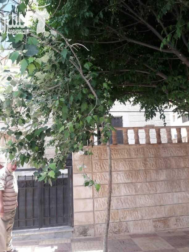 شقة ارضية مع ترس للبيع .. مقابل العيادات الخارجية لمستشفى حمزة منطقة هادئة جدا .. مساحتها الداخلية 135 م .. ثلاث غرف نوم ..ثلاث حمامات ..ومطبخ راكب جديد وحمامات تم عمل صيانة لها وتغييرها .. تشطيبات د...
