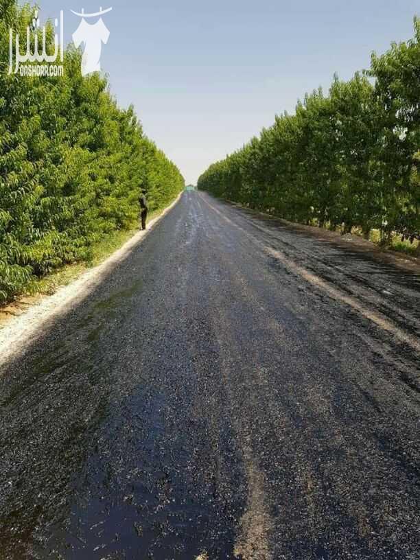 0790405440 هاتف 
جميع أعمال التزفيت وتعبيد الطرق وتزفيت الساحات⤵⤵ وتزفيت المدارس وتزفيت المصانع والمعارض وعمل الرمبات وشق الطرق وعمل شوارع سلنكوت وعزل الأسطح من الرطوبه وتسريب المياه المطار بزفته السا...