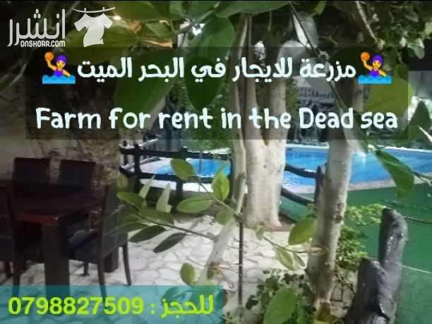مزرعة مميزة ذات خصوصية عالية للعائلات
في منطقة الفنادق البحر الميت
فيللا طابقين، غرفتين نوم، حمامين،مطبخ مجهز بالكامل، مكيفة الكامل.
مسبح خاص و معقم باجود المواد الكيميائية.
و جلسات عائلية ذات خص...