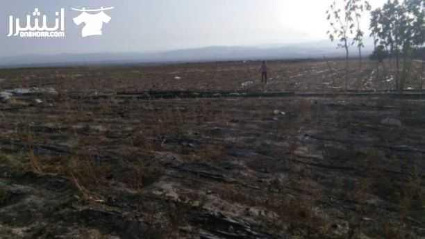 مزرعة للبيع بمساحة 78 دونم مع توفر بركة مياه داخل الأرض بسعر مغري للغاية الرجاء التواصل للمهتمين
