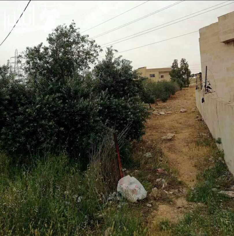للبيع .. .. للبيع .... للبيع بيت مساحته 305 م. على ارض دونم تقريبا. يتكون من غرفه نوم 5 حمام4. ماستر 2.مطبخ 2. معيشه . صاله قعده . موزع. قاعه استقبال. 63متر.(9*7). مدخلين. بئر ماء. سور . على ارض دونم...