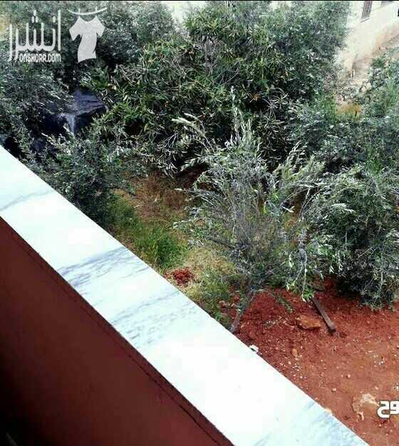 للبيع بيت كاش او بدل بشقه .اودفعه اكثر من نصف الثمن والباقي اقساط. 
بيت مساحته 305 م على ارض دونم  . البيت عباره عن شقتين كبار مع بعض. سوبر 
على شارعين.كوشان مستقل 

السعر 130 الف قابل للتفاوض.