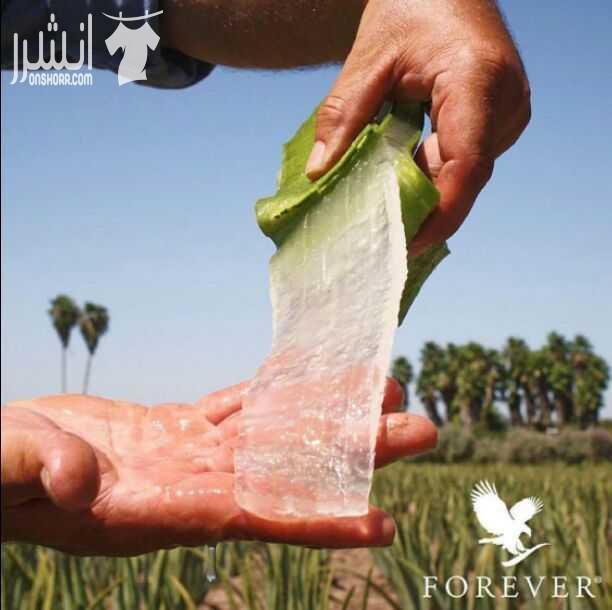 مجموعة ال 9 ايام من شركة فوريفر ليفينغ
منتجات طبيعية 100 % من الألوفيرا
تعمل على تنظيف الجسم من السموم وتنحيف من ٤_٧ كيلو
تعمل على تحسين الصحة العامة والنشاط
وتحسين مستوى السكري والضغط
تعمل على ت...