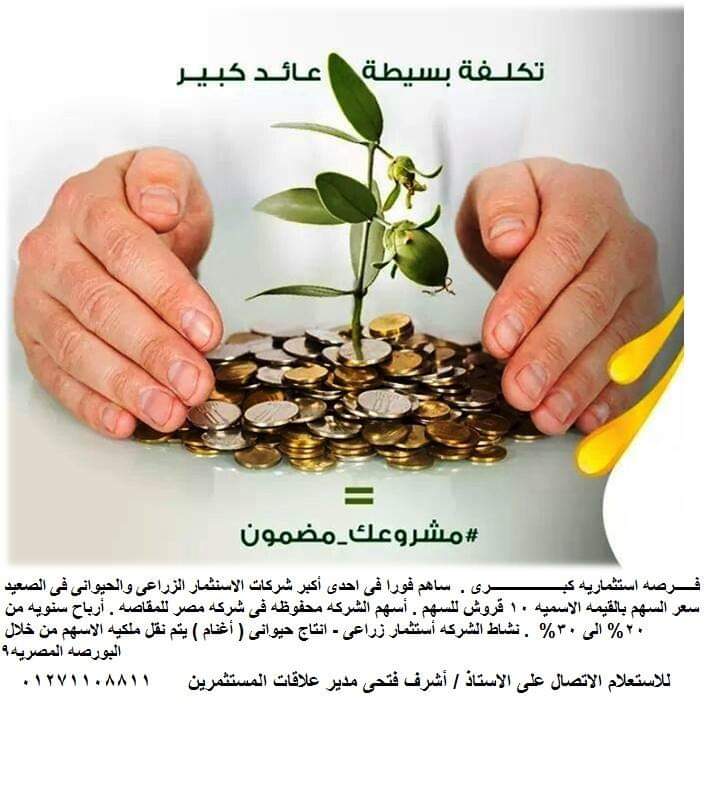 حضرتك نحن شركة مساهمة مصرية مركزها الرئيسى فى مصر الجديدة . تأسست في الأول من يناير 2017 . نشاط الشركة زراعي وحيواني .أرض الشركة على الطريق الصحراوي الغربي بمركز ملوى محافظة المنيا. مساحه الارض 3000 ف...