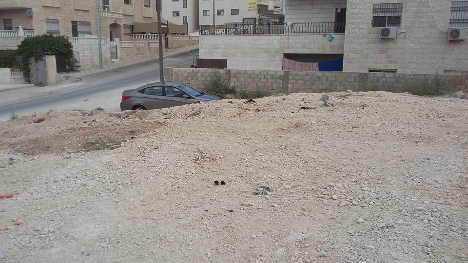 الأردن - عمان
ارض للبيع في القويسمة/ ام نوارة - تبعد كيلو متر واحد عن ستاد الملك عبد الله الثاني
القرية: القويسمة
حوض: ام نوارة
المساحة: 1.18 دنم
الموقع: القويسمة/ ام نوارة - تبعد كيلو متر واحد ع...