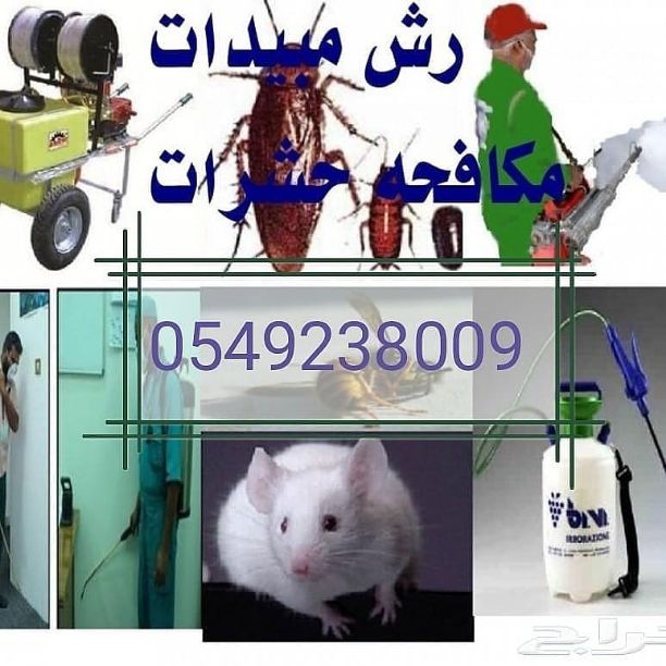 شركة المنارة لمكافحة الحشرات ورش المبيدات مع الضمان 0549238009