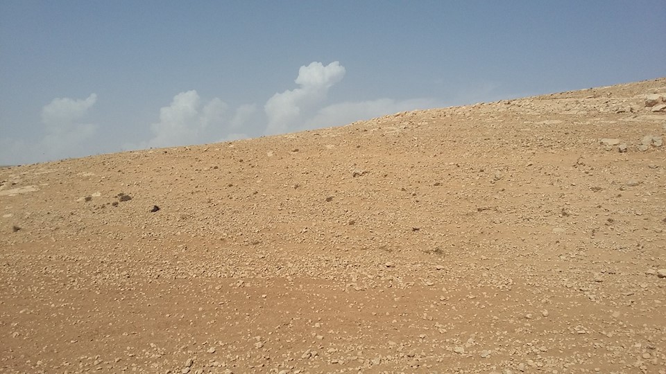الأردن - عمان
اراضي للبيع في زينات الربوع - خلف ترخيص شفا بدران ب2.5 كم
القرية: زينات الربوع
حوض: الشكارة
المساحات: من 500م إلى 558م
الموقع: زينات الربوع - خلف ترخيص شفا بدران ب2.5 كم
منطقة هادئ...
