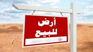 مزرعه للبيع

كود 4075
ارض مساحه 13 قيراط
مبنى عليها مزرعه مساحه 1000 م
عداد كهرباء
سعر القيراط   150 الف جنيه
عزبه الباشا مرصفا
للمعاينه والاستعلام   Hot line\ 01289896363
01066684051\01151178817\0128...