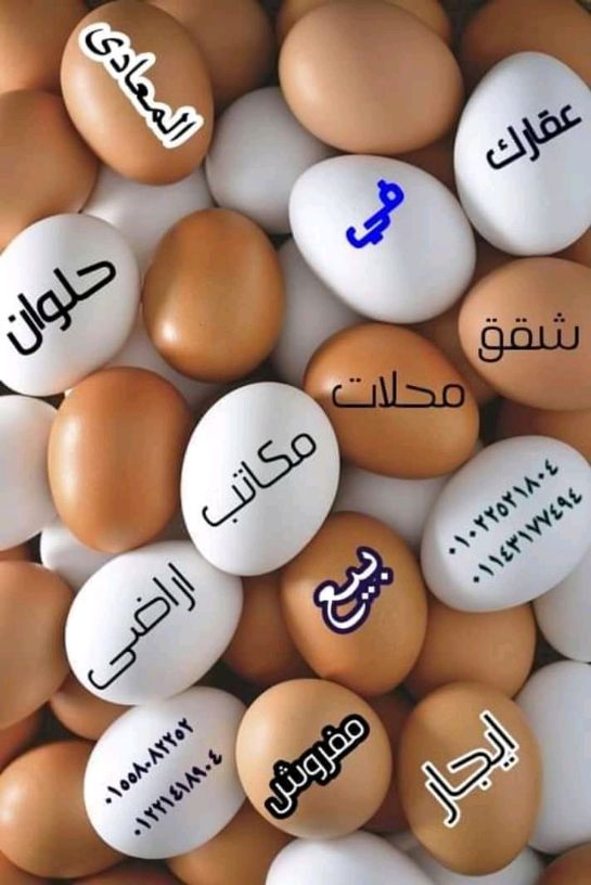 عقارك فى حلوان
بيع - ايجار - مفروش
٠١٥٥٨٠٨٢٢٥٢