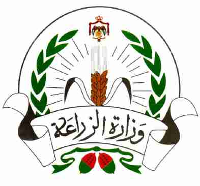 ريح حالك من المغشوش
لا تنسَ أنك شاهدت هذا الإعلان في عنكبوت
زيت زيتون جبلي بكر ممتاز معصور...