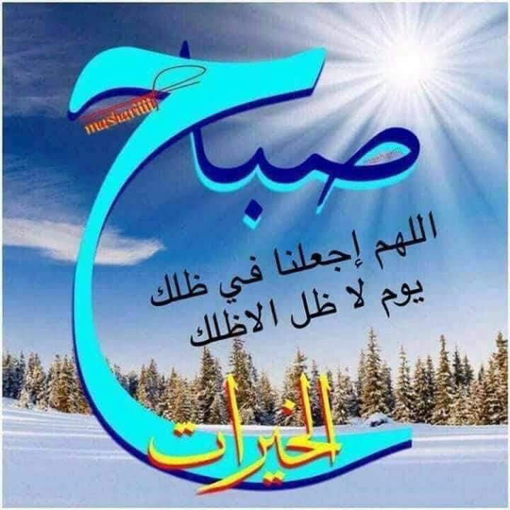 صابون جلسرين خام                                            


	 				لا تنسَ أنك شاهدت هذا الإعلان في عنكبوت            
	 				
                                يوجد لدينا صابون جلسرين خام ابيض وشف...
