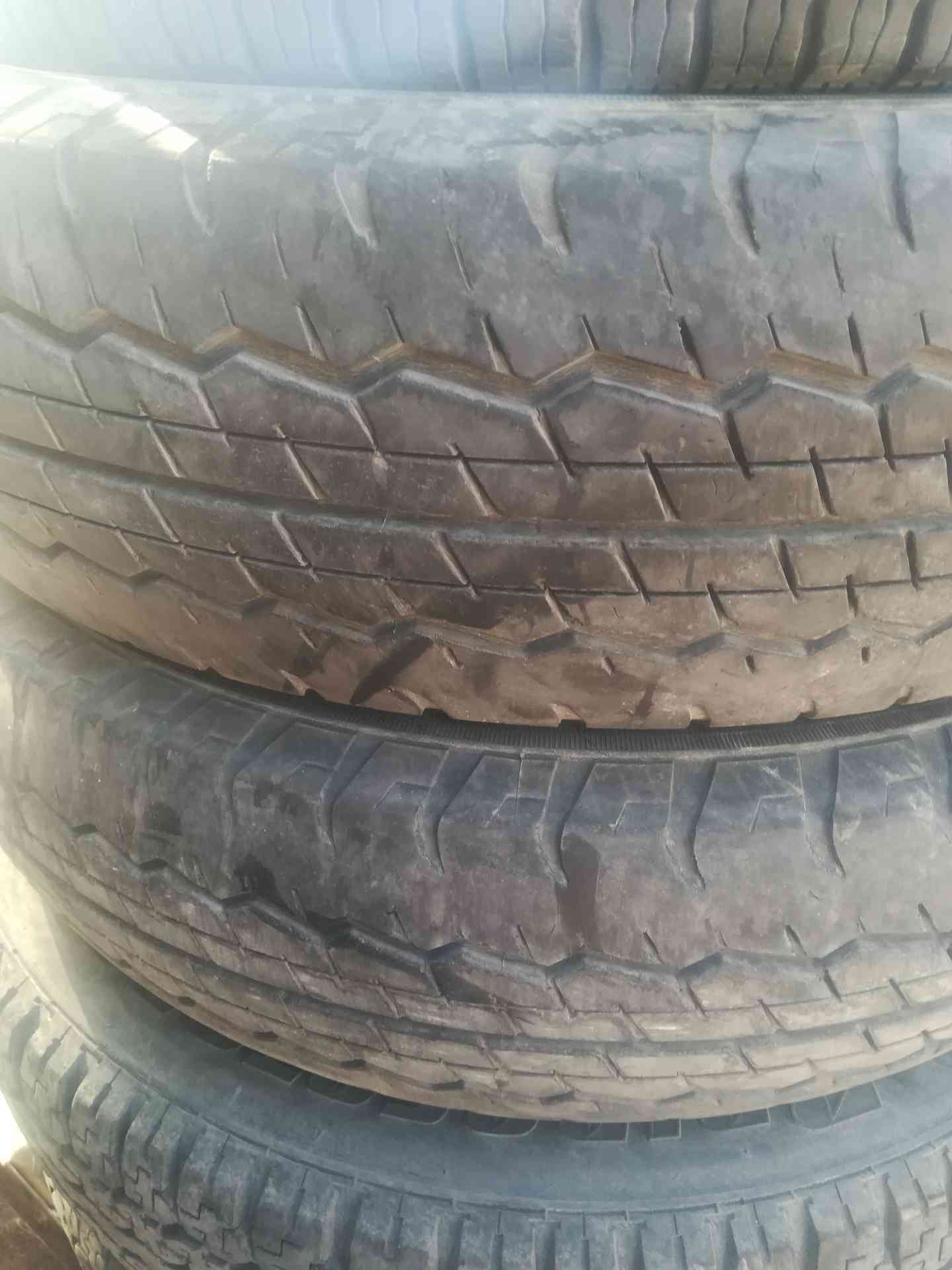195R15                                            


	 				لا تنسَ أنك شاهدت هذا الإعلان في عنكبوت            
	 				
                                جوز دلوب 18...