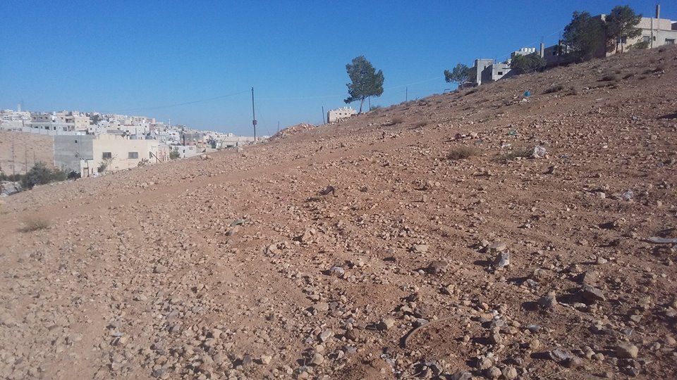 الأردن - الزرقاء
قطعة ارض في جريبا - قرب مسجد التوحيد
القرية: جريبا
حوض: مذبح البعير
المساحة: 445م
الموقع: تبعد 130م عن مسجد التوحيد، 950م عن طريق ياجوز
التصنيف: سكن ج
واجهة على شارعين 26م، 16م...
