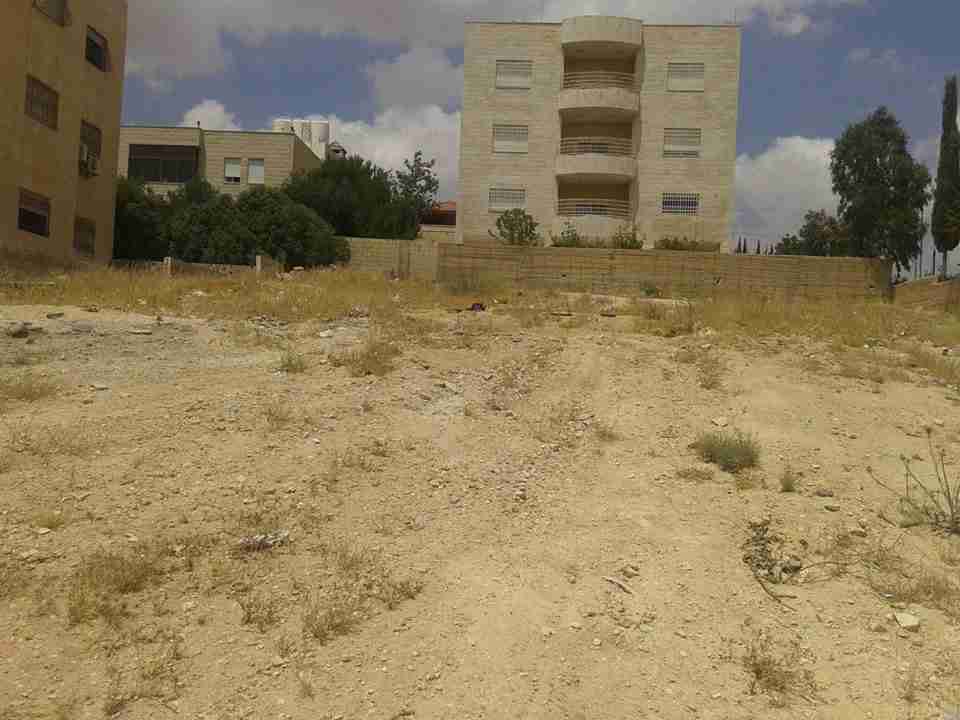الأردن - عمان
قطعة ارض في شارع ياجوز/ منطقة الكوم - تبعد 830م عن المؤسسة العامة للغذاء و الدواء
القرية: ياجوز
حوض: تلعة نمر
المساحة: دنم كامل
الموقع: تبعد 830 كم عن المؤسسة العامة للغذاء و الدواء...
