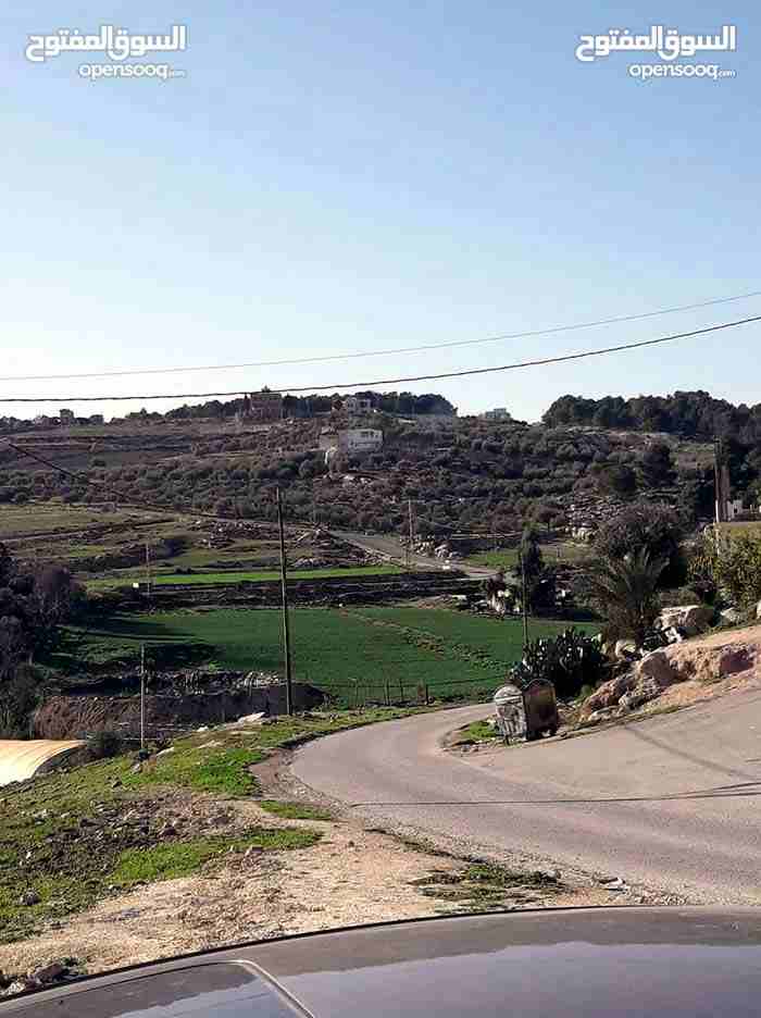 ارض للبيع ناعور وسيل حسبان قرب النبع
لا تنسَ أنك شاهدت هذا الإعلان في عنكبوت
ارض للبيع
اراضي نا...