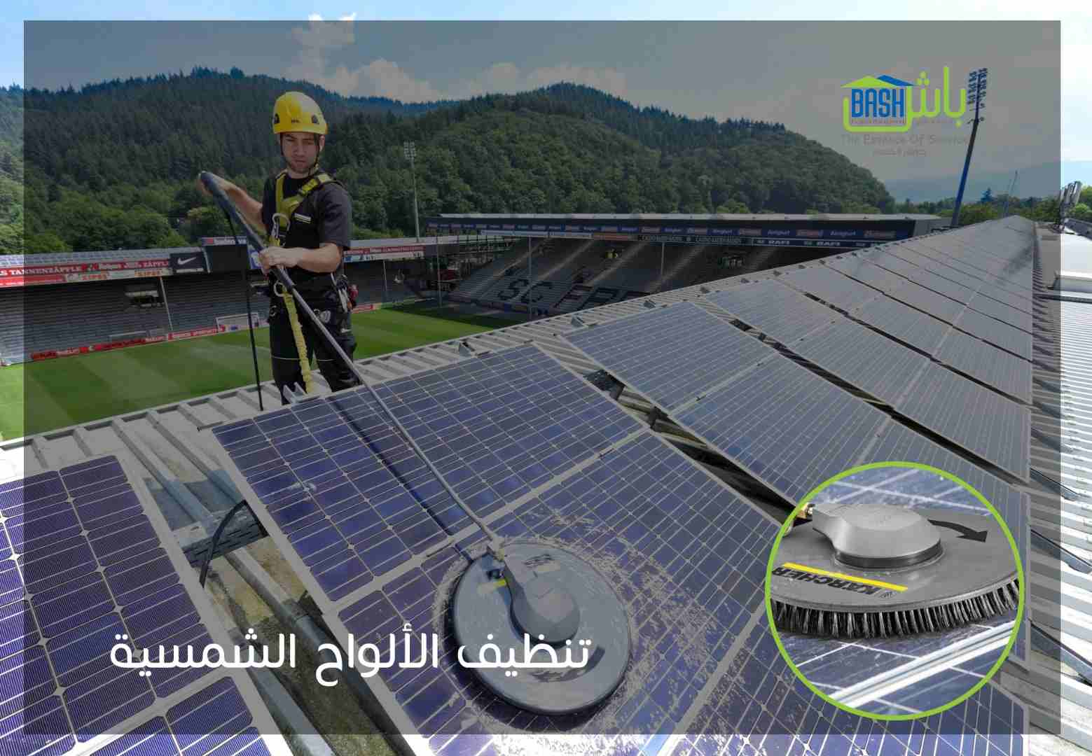 مكافحة الحشرات والقوارض - شركة باش لادارة المرافق
لا تنسَ أنك شاهدت هذا الإعلان في عنكبوت
-خدمات...