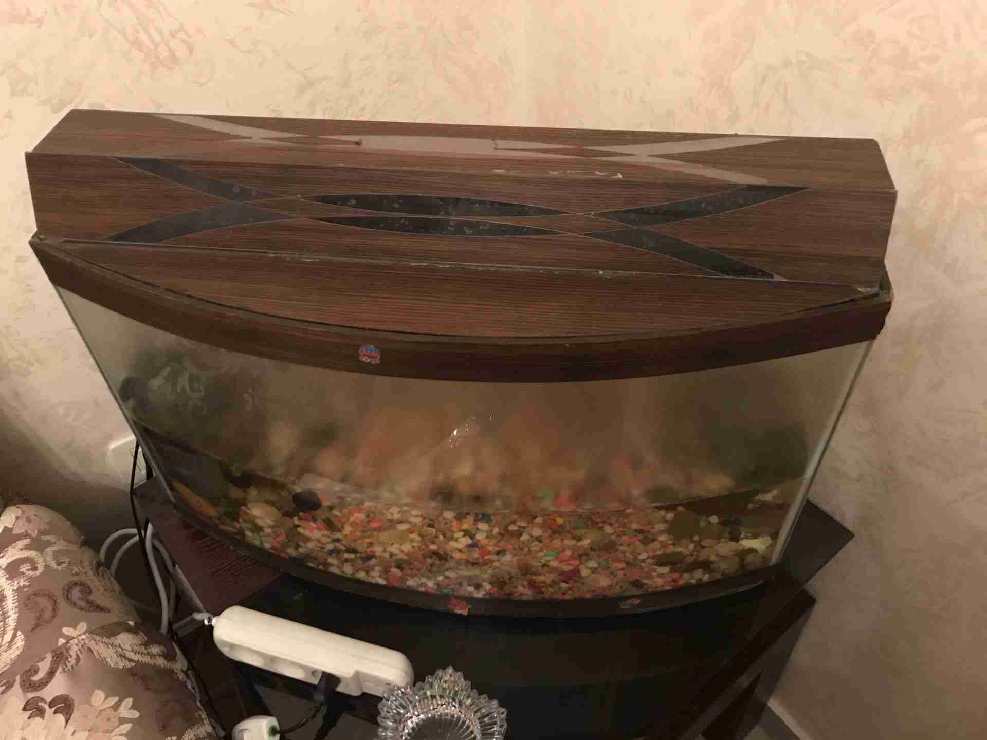 حوض سمك مع اغراضه                                            


	 				لا تنسَ أنك شاهدت هذا الإعلان في عنكبوت            
	 				
                                حوض سمك مع اغراضه للبيع
مطلوب 25 دي...