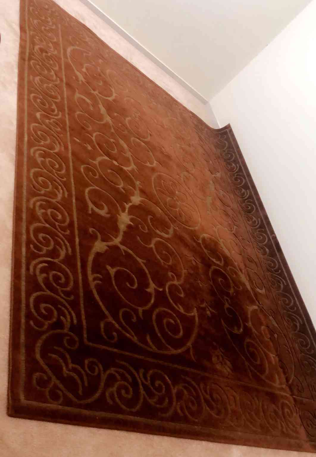 سجاد شبه جديد نوع فاخر بسعر مغري مع طاوله مجاناً                                            


	 				لا تنسَ أنك شاهدت هذا الإعلان في عنكبوت            
	 				
                                العر...