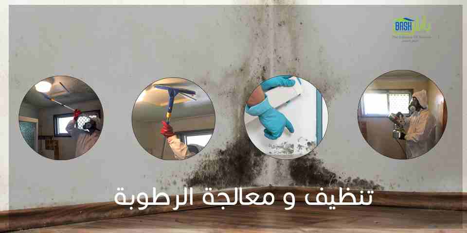 مكافحة الحشرات والقوارض - شركة باش لادارة المرافق
لا تنسَ أنك شاهدت هذا الإعلان في عنكبوت
-خدمات...