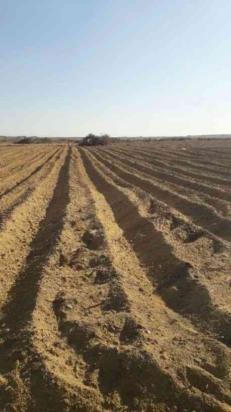 الريف المصري واخر عروض 2018
فقط وحتي نهاية شهر ديسمبر سعر الفدان مزروع 40 الف فقط بدلا من 55الف وسعر الفدان مستصلح فقط 25 الف
الموقع طريق العياط فقط 50 كم من ميدان الرماية واقل من ساعة من اي مكان داخ...