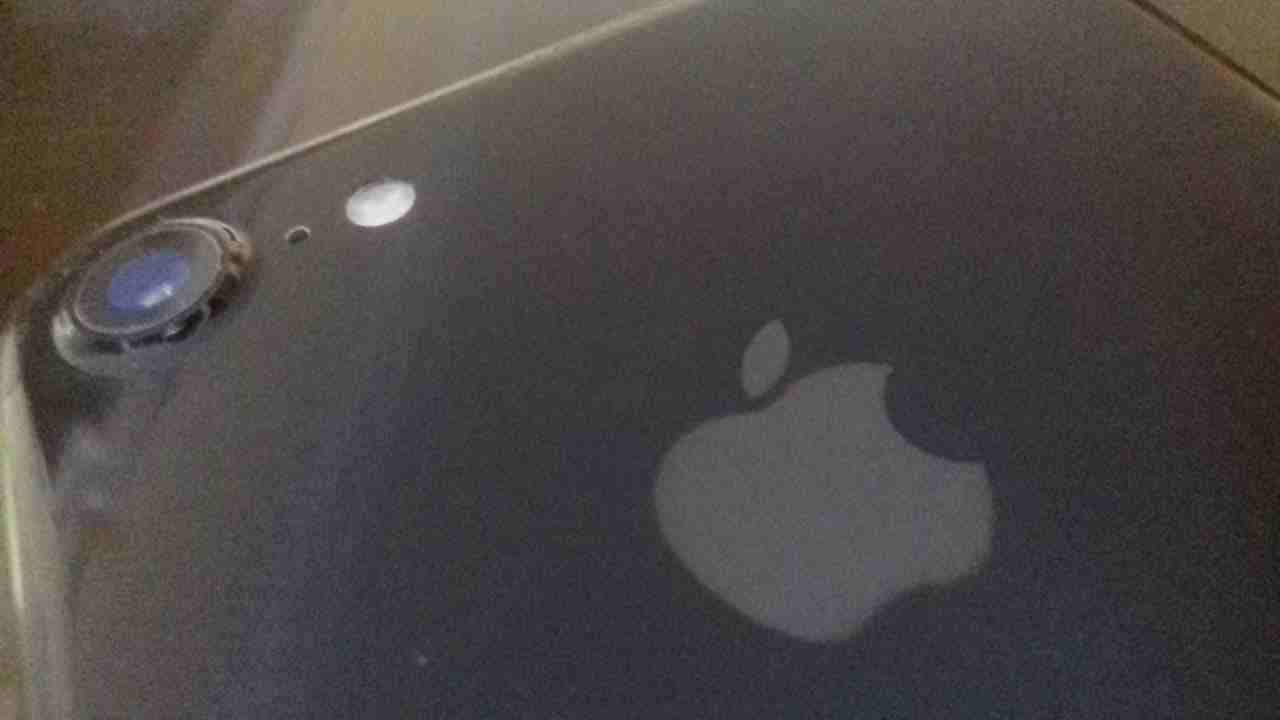 iphone 7 128GB ..  آي فون 7 وكالة                                            


	 				لا تنسَ أنك شاهدت هذا الإعلان في عنكبوت            
	 				
                            آي فون 7 وكالة، خالي من...