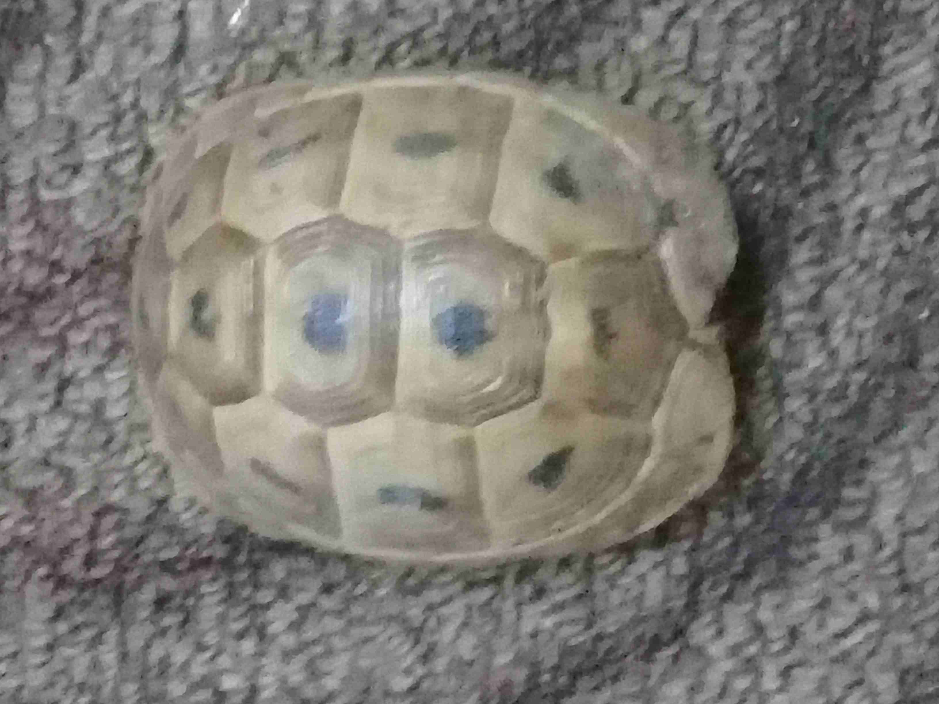 جرشمخيم سوف                                            


	 				لا تنسَ أنك شاهدت هذا الإعلان في عنكبوت            
	 				
                            سلاحف                        

	 				رقم ال...