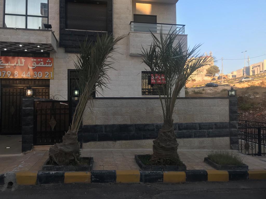 شقة ارضية مع ترس مميزة بالقرب من حي الصحابة
لا تنسَ أنك شاهدت هذا الإعلان في عنكبوت
شقة طابق...