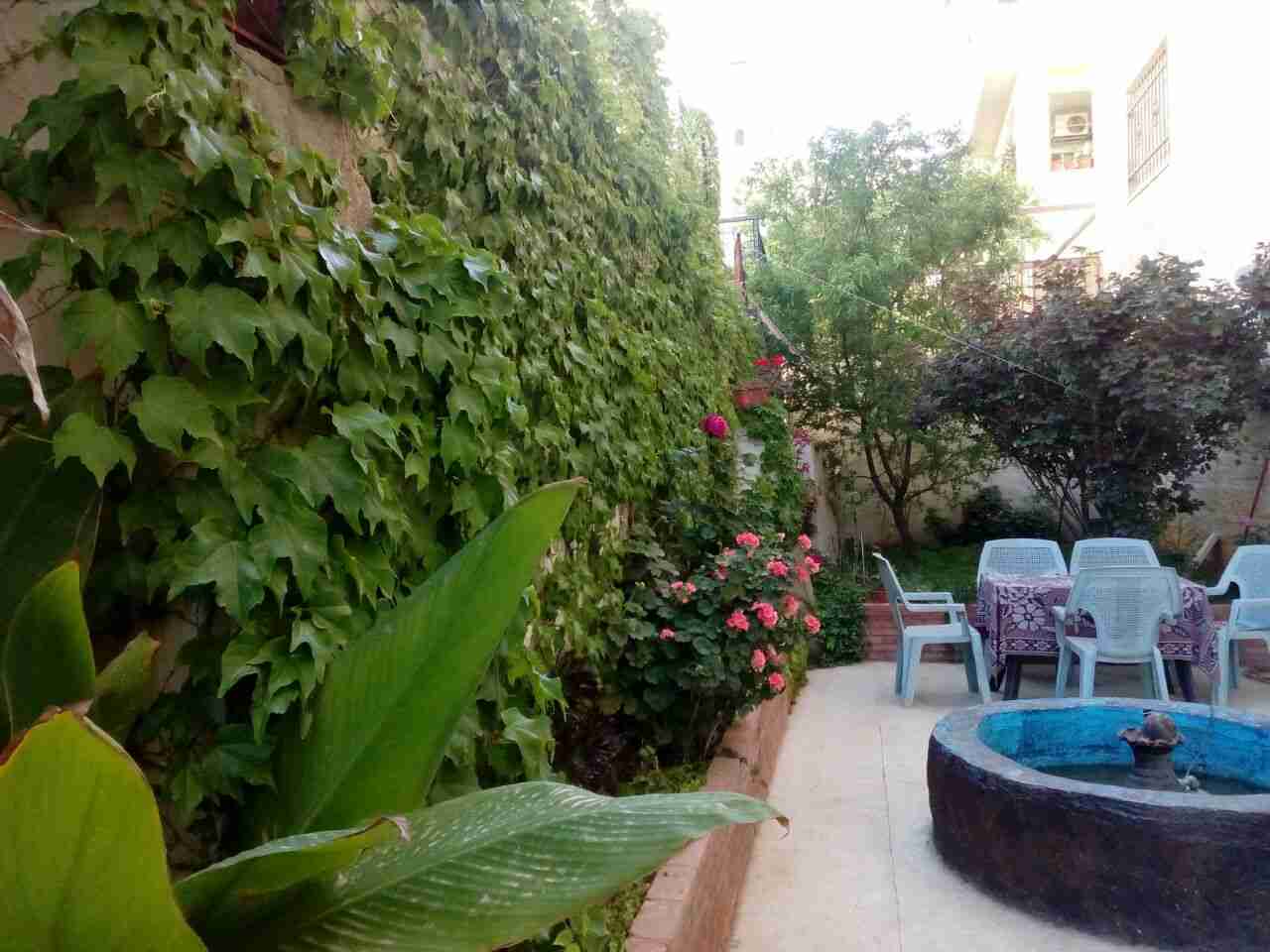 بسعر ممتاز شقه  200م مع حديقه 136م  في مرج الحمام                                            


	 				لا تنسَ أنك شاهدت هذا الإعلان في عنكبوت            
	 				
                                منط...