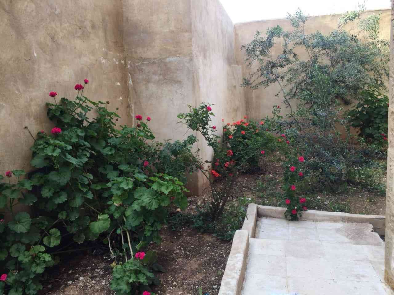 الجبيهة بالقرب من البوابة الشمالية للجامعة الأردنية
لا تنسَ أنك شاهدت هذا الإعلان في عنكبوت
ش...