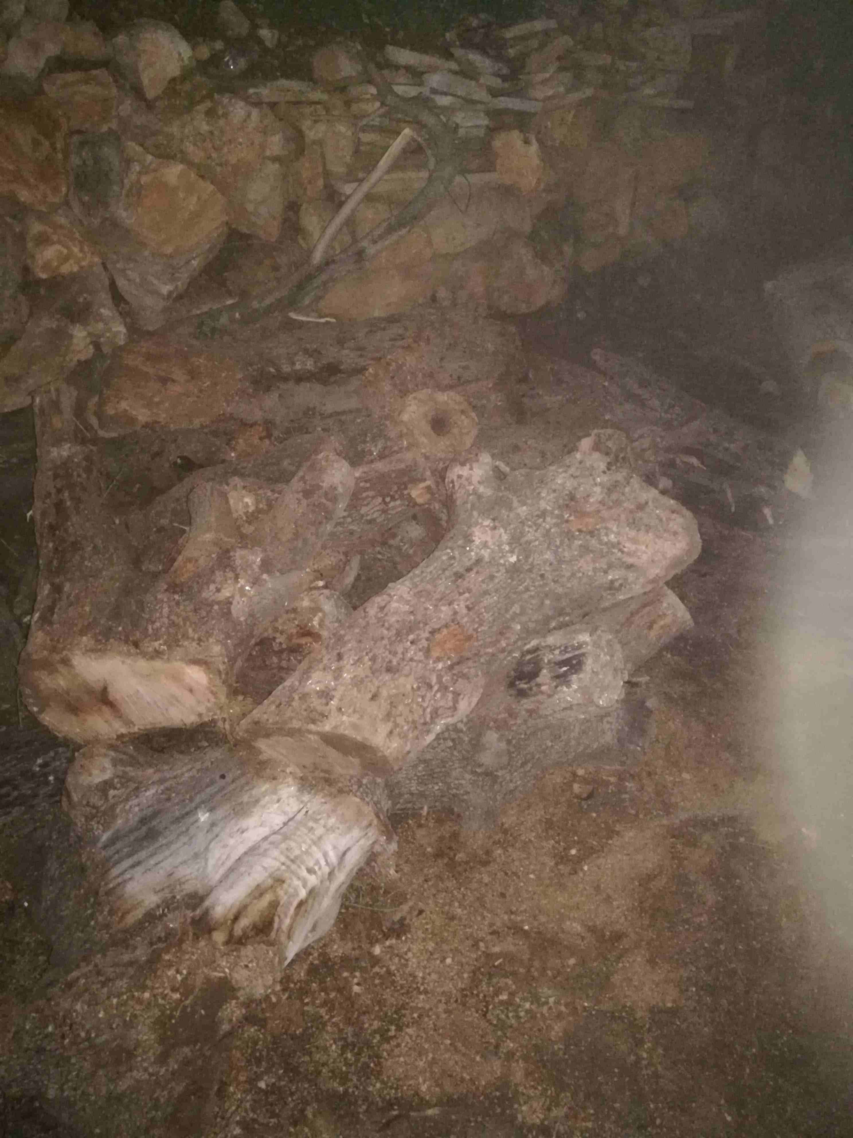 حطب بلوط اصلي للبيع                                            


	 				لا تنسَ أنك شاهدت هذا الإعلان في عنكبوت            
	 				
                            حطب يابس للبيع بلوط اصلي سعر طون 100...