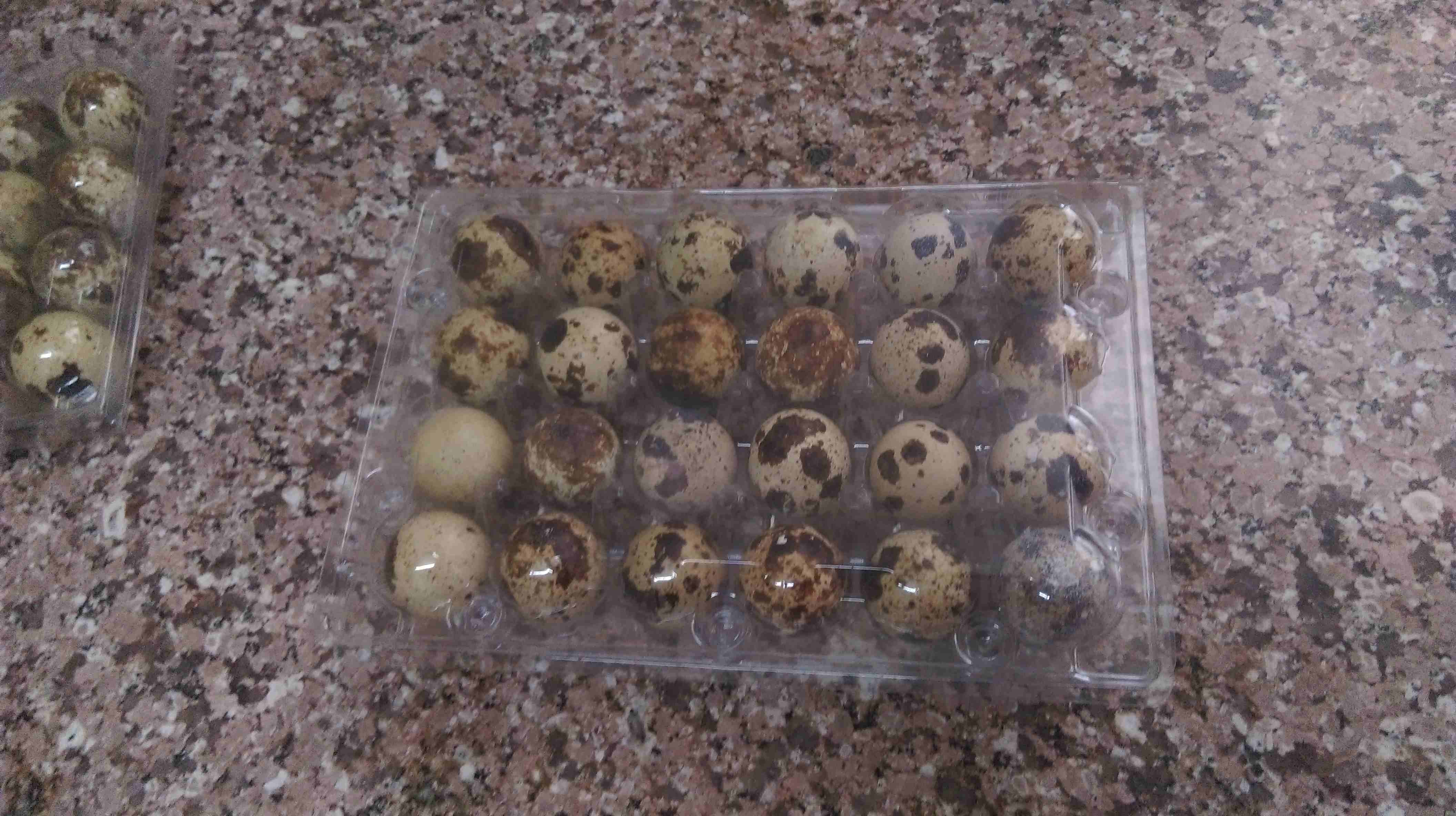 طبق بيض فري ب 75 قرش يا بلاش
لا تنسَ أنك شاهدت هذا الإعلان في عنكبوت
بيض فري للاكل ويوجد مخصب لاص...