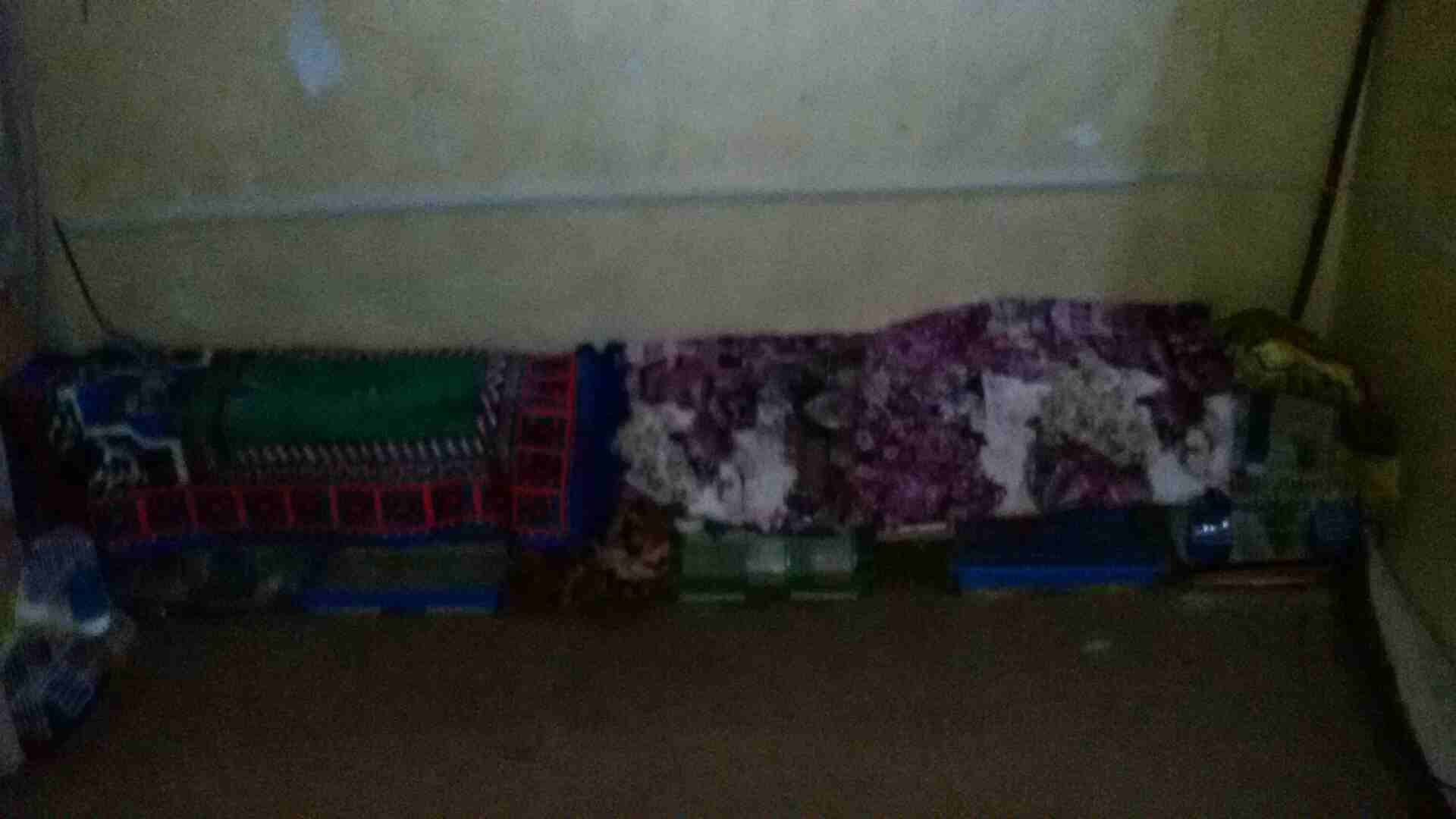 طيور حب
لا تنسَ أنك شاهدت هذا الإعلان في عنكبوت
عصافير حب 3 اجواز حب كل جوز تحته فراخ ويوجد 10 مخ...