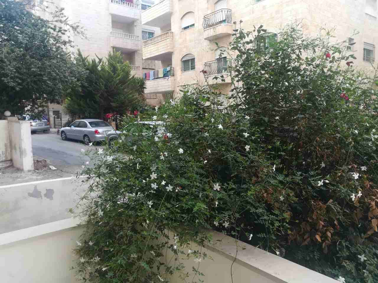 شقة ارضية ممتازة للايجار بتلاع العلي .. اجار لقطة
لا تنسَ أنك شاهدت هذا الإعلان في عنكبوت
شقة ارض...