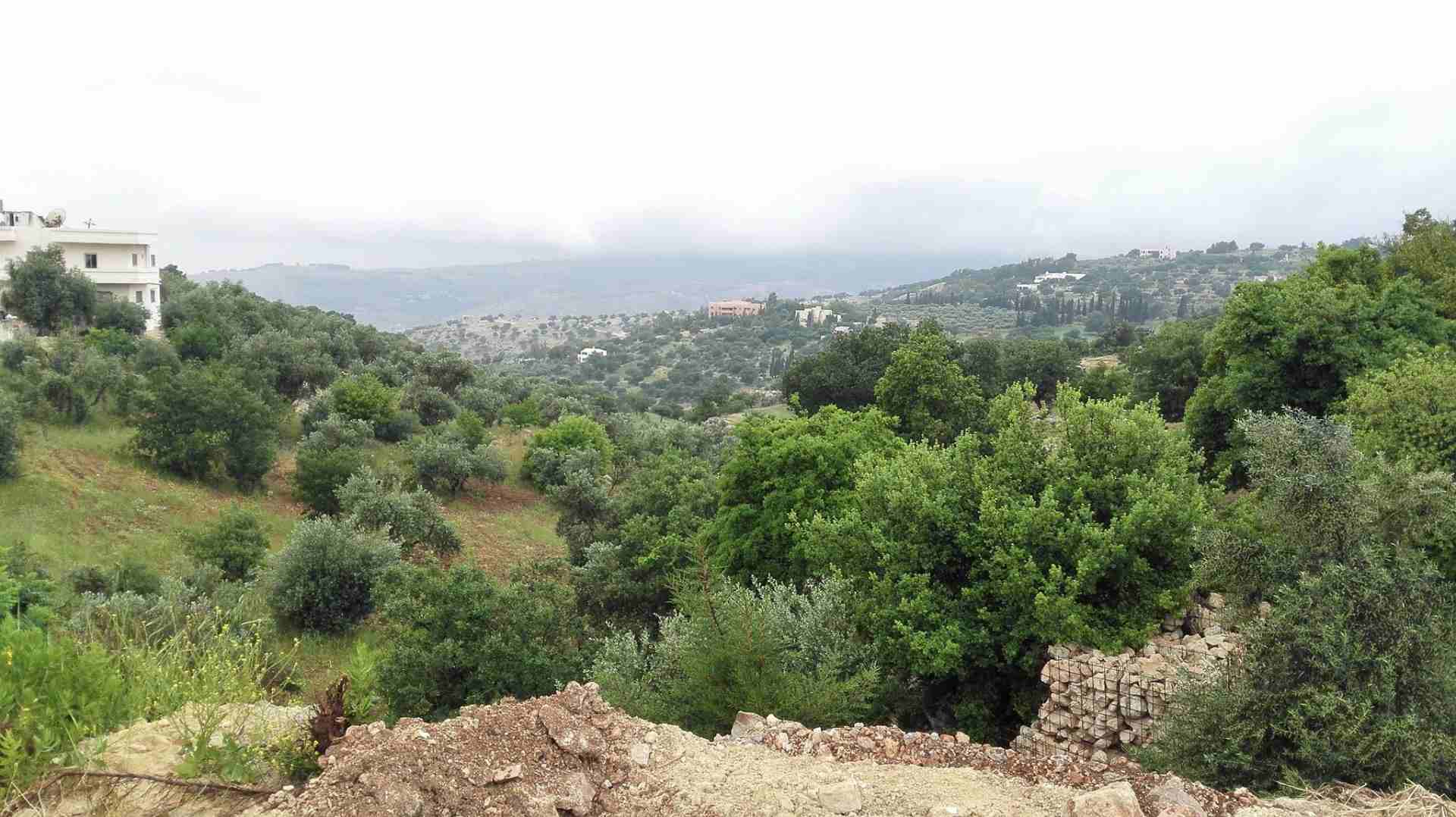 منطقه فلل بطابع ريفي 633م بدر الجديده
لا تنسَ أنك شاهدت هذا الإعلان في عنكبوت
أرض للبيع ، بدر الج...