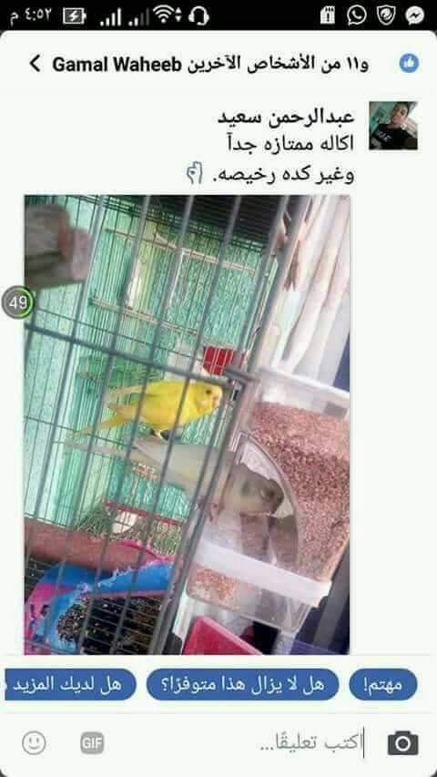 علافه موفره جدااااا
لا تنسَ أنك شاهدت هذا الإعلان في عنكبوت
علافه اتوماتيك امنه للعصافير
مميز...