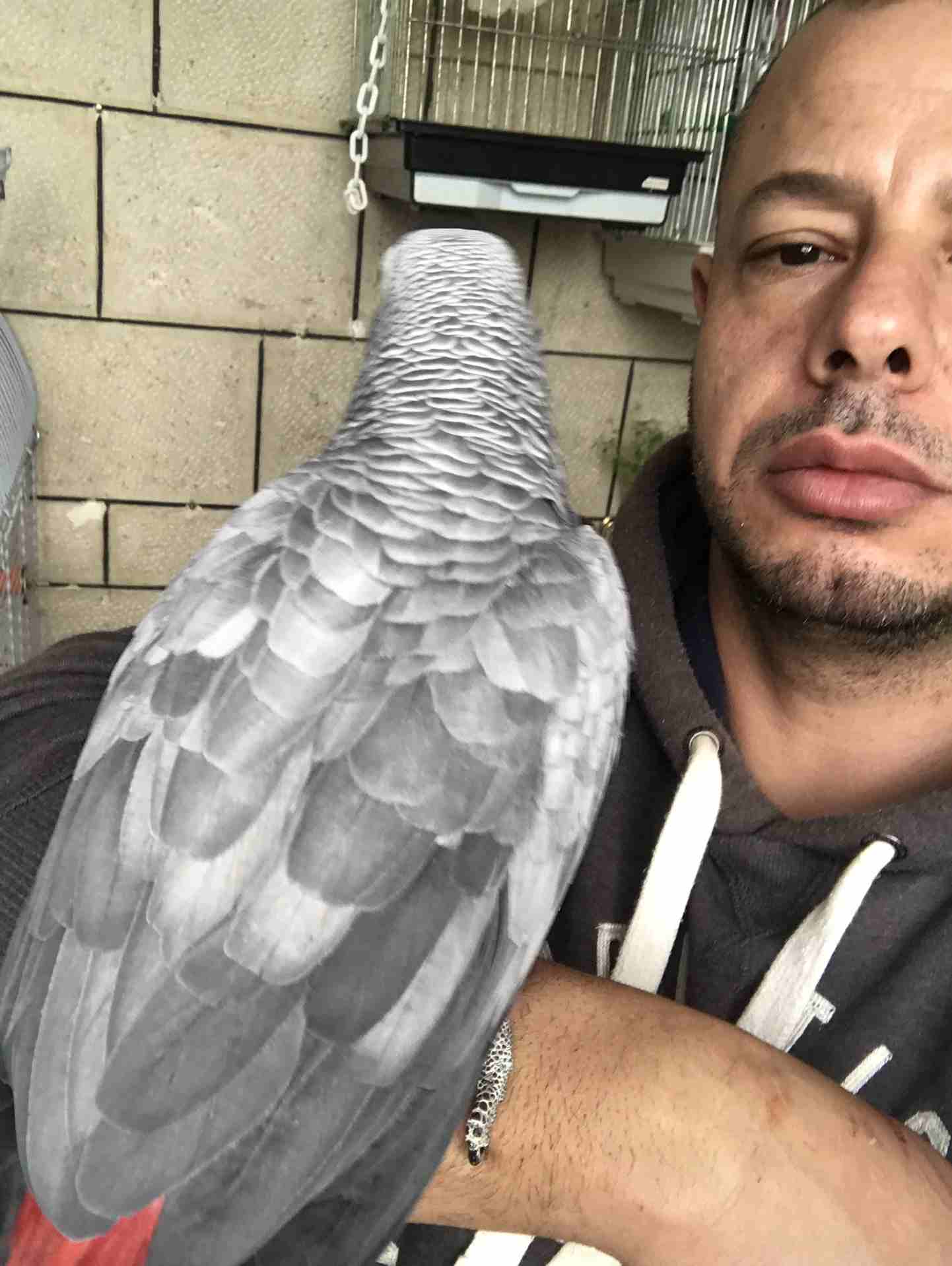 كاسكو عدد 2 للبيع
لا تنسَ أنك شاهدت هذا الإعلان في عنكبوت
كاسكو لون ثلجي بحكي 30 كلمه 370 دينار
ك...