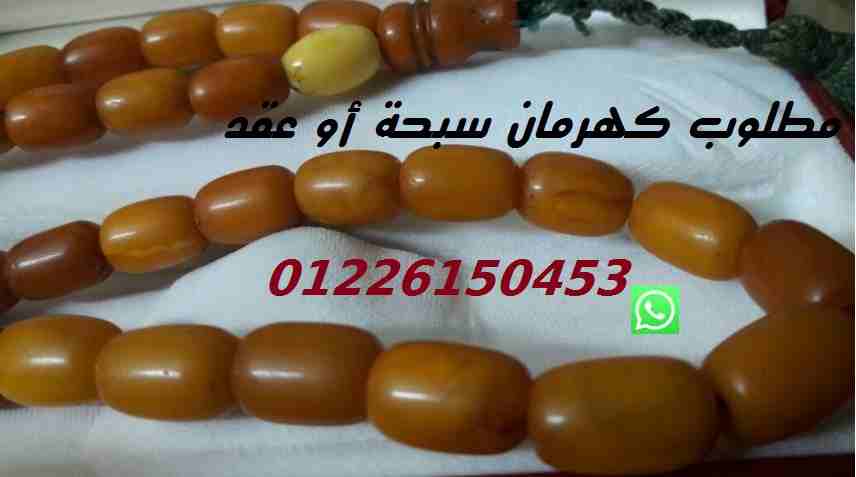 مطلوب سبحة أو عقد كهرمان /فتران01226150453                                            


	 				لا تنسَ أنك شاهدت هذا الإعلان في عنكبوت            
	 				
                            مطلوب سبحة أو...
