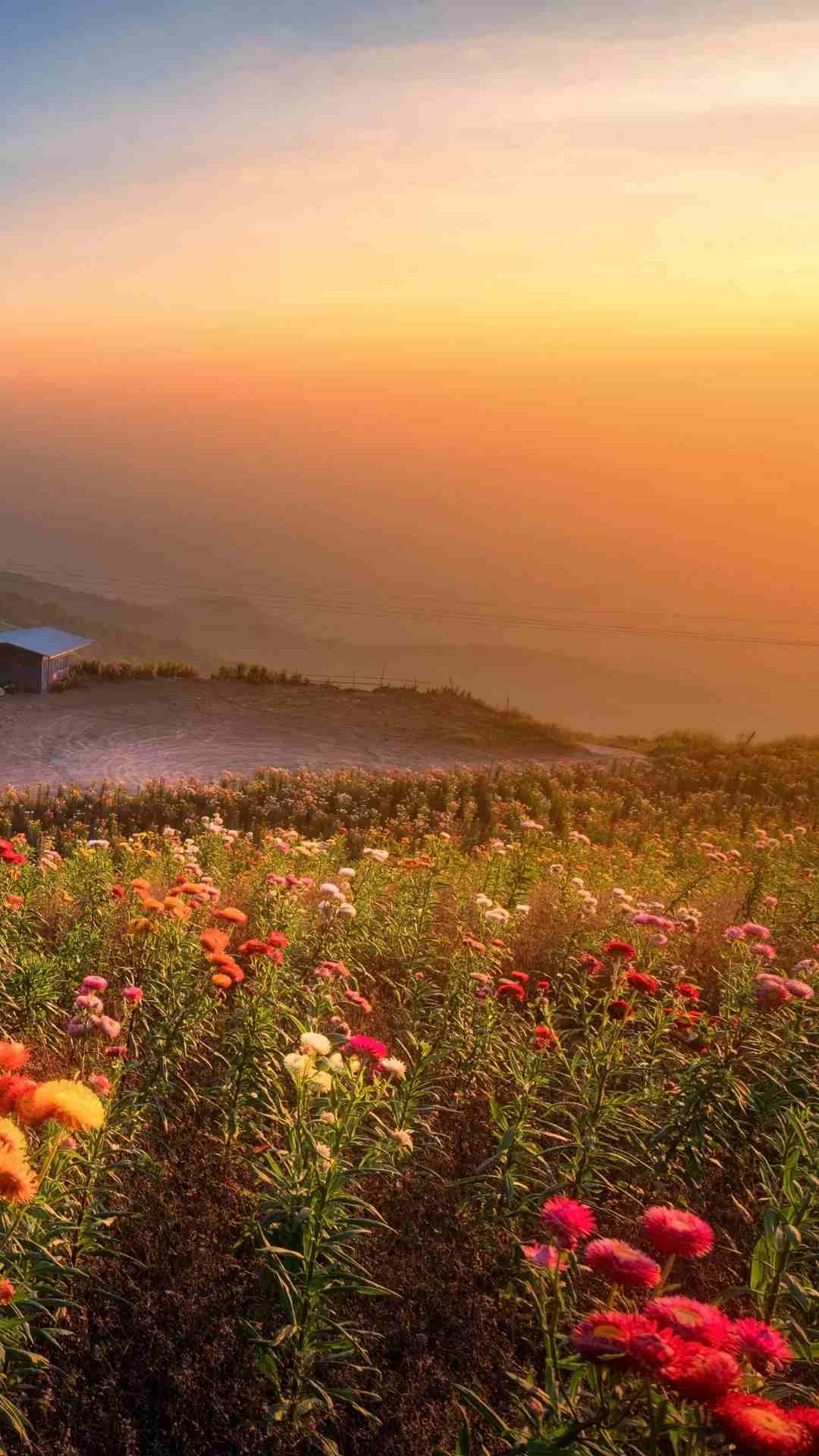 أرض للبيع في شفا بدران بجانب فلل النخبة 860م على شارعين                                            


	 				لا تنسَ أنك شاهدت هذا الإعلان في عنكبوت            
	 				
                            أ...