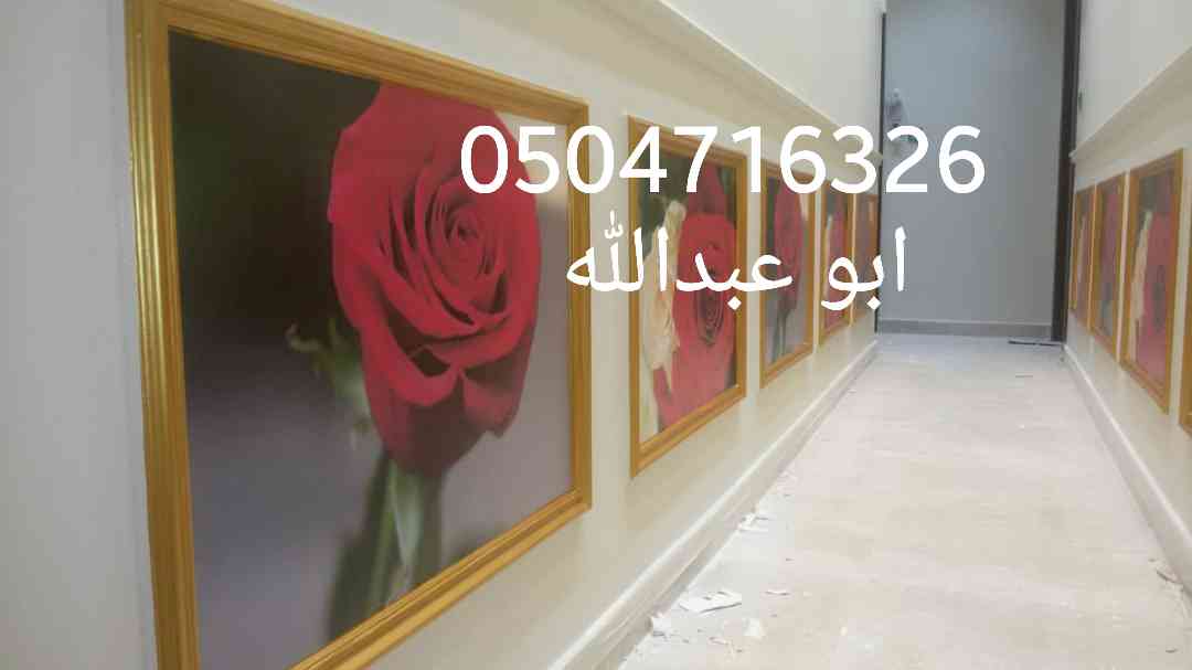 معلم دهانات وورق جدران                                            


	 				لا تنسَ أنك شاهدت هذا الإعلان في عنكبوت            
	 				
                                معلم دهانات لتنفيذ جميع انواع...