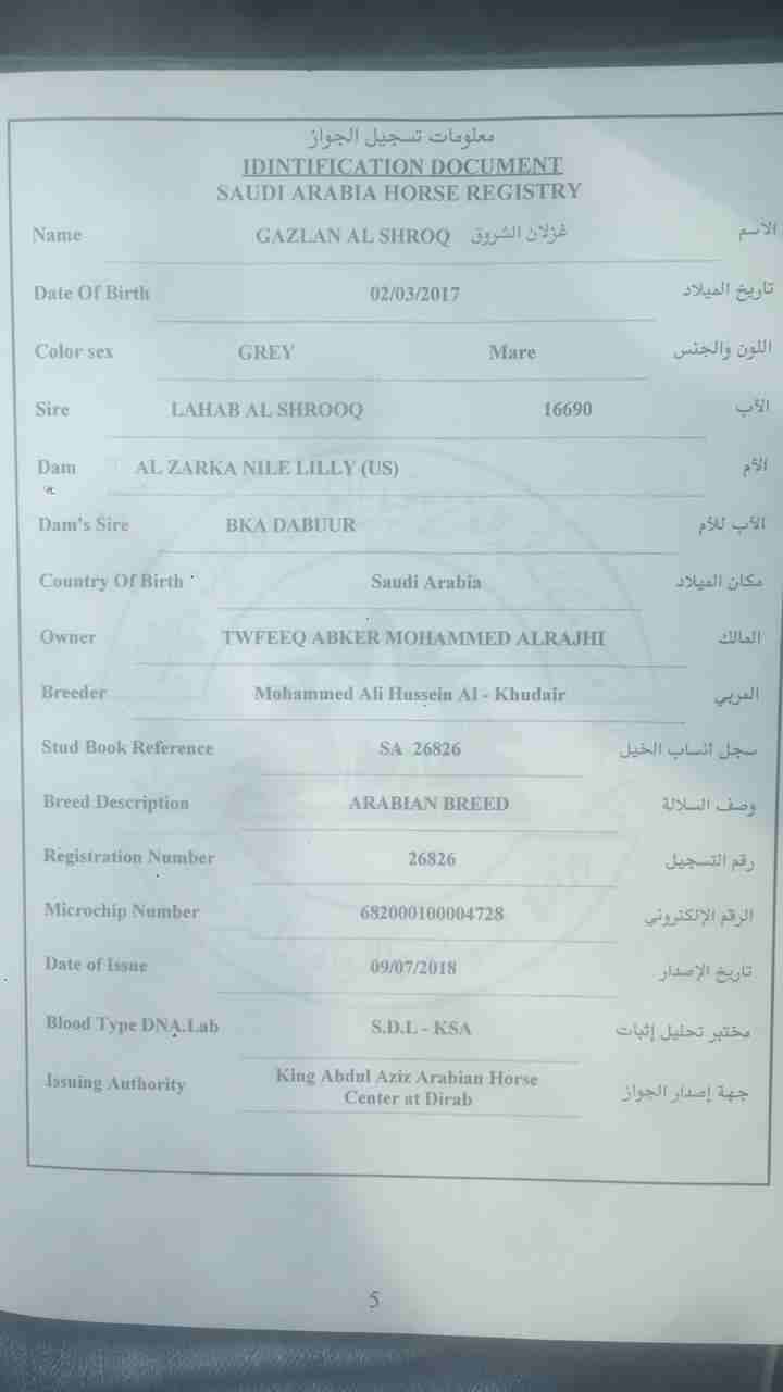 للبيع مهره عربيه واهو مسجله
لا تنسَ أنك شاهدت هذا الإعلان في عنكبوت
مهره عربيه مسجله مع شهادات وج...