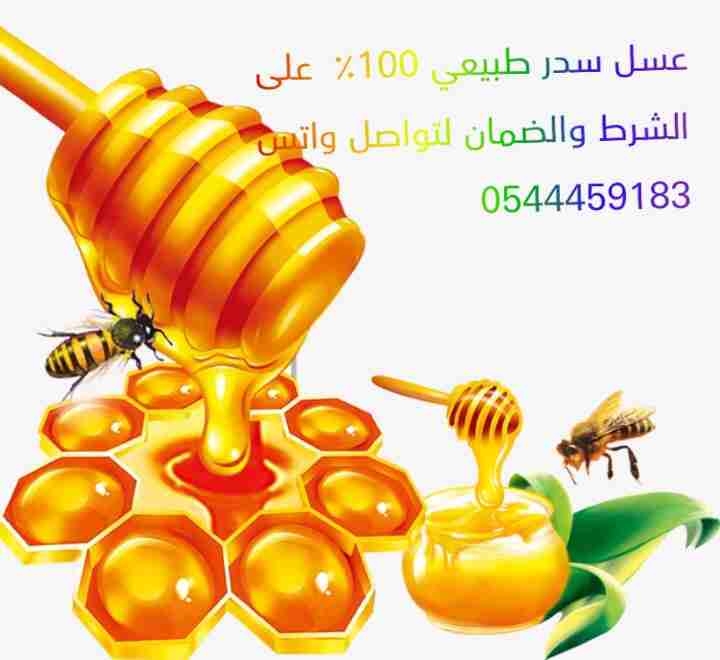 عسل سدر اصلي على الشرط والضمان                                            


	 				لا تنسَ أنك شاهدت هذا الإعلان في عنكبوت            
	 				
                                يوجد لدنيا عسل سدر اصل...